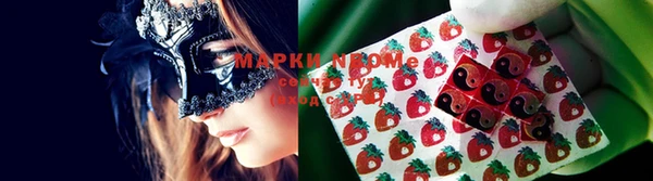 mdpv Богородск