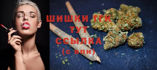 ПСИЛОЦИБИНОВЫЕ ГРИБЫ Белокуриха